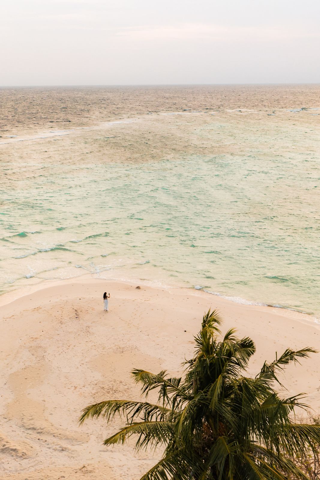 Beach view through palms