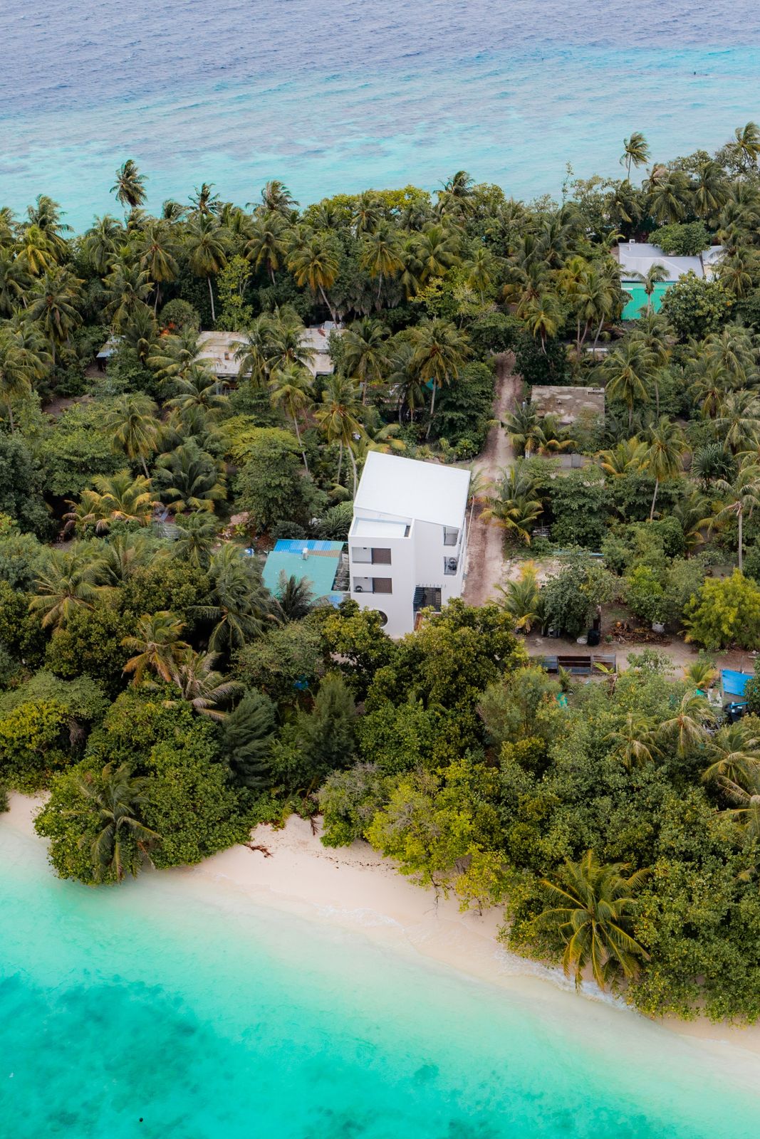 Kashiveli among Omadhoo's palms and village rooftops
