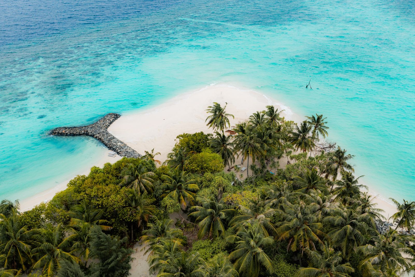 Palms leaning over the sandbank at the island's northern point