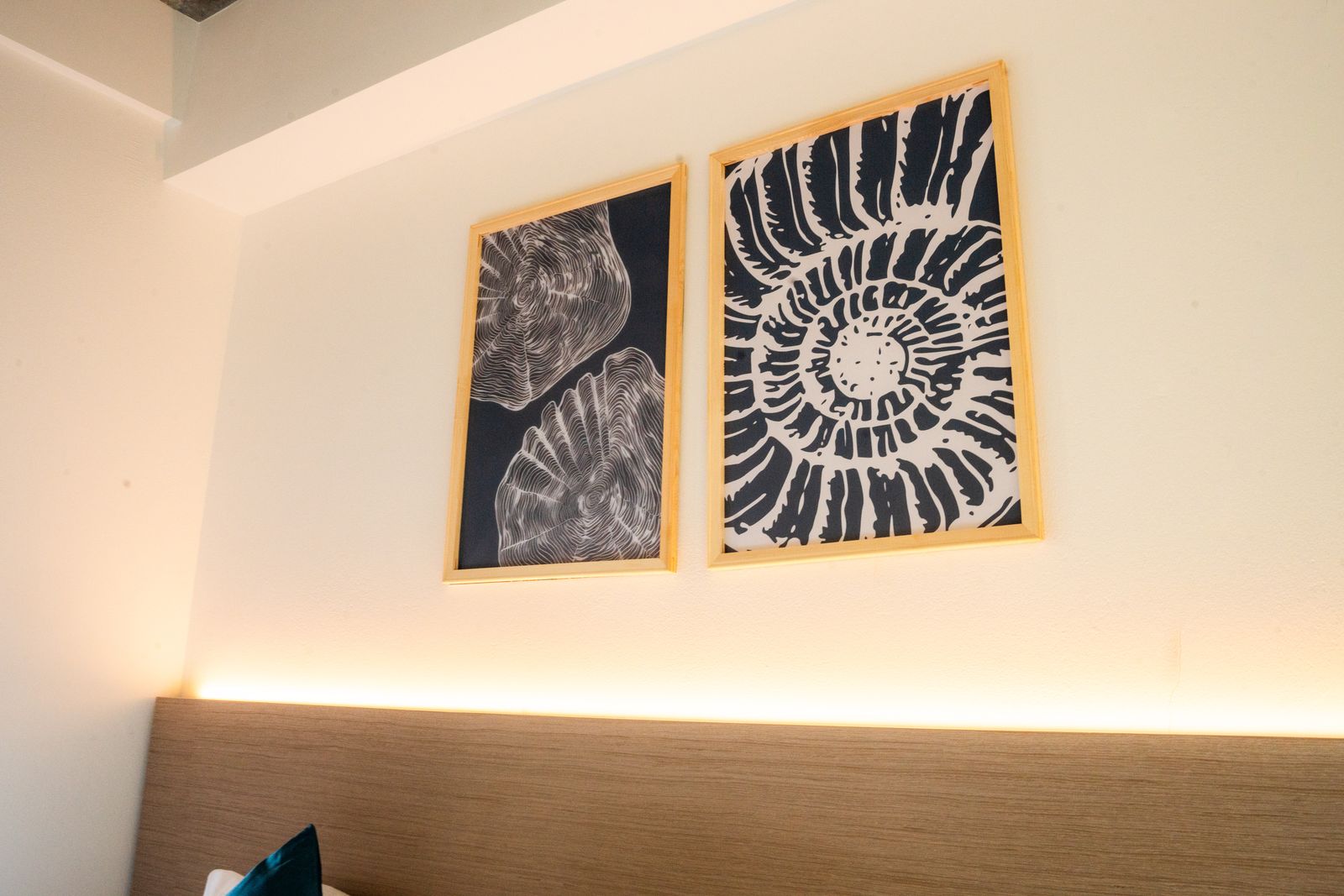 Framed ammonite and shell prints above the headboard